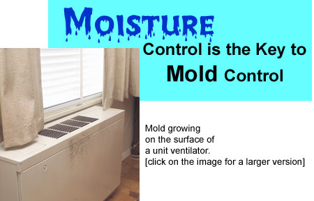 moisture control is the key to mold control